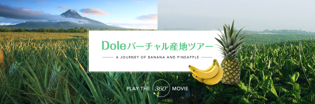 Doleでのバーチャル産地ツアー